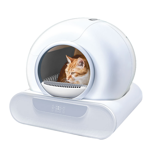 PetFresh360 Self-Cleaning Cat Litter Box - Lifestyle